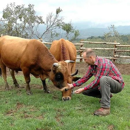 ファームステイ Agriturismo Venturo カステルヌオーヴォ・ディ・ガルファニャーナ
