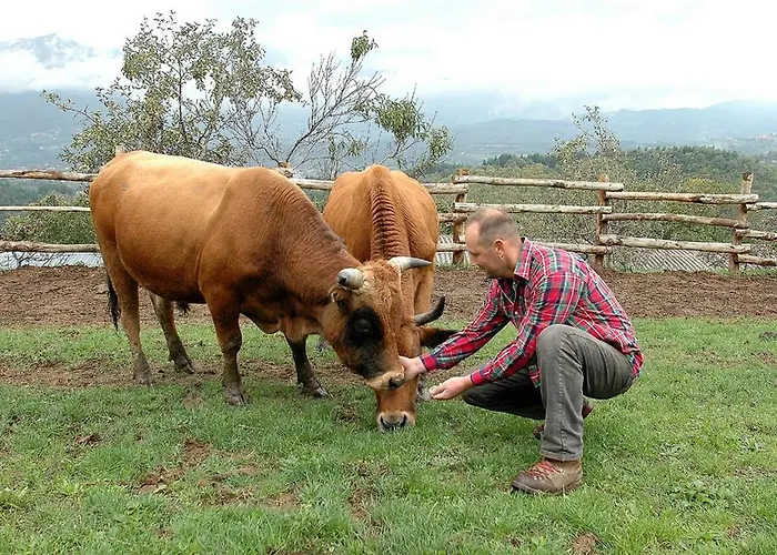 Çiftlik konaklama Agriturismo Venturo Castelnuovo di Garfagnana